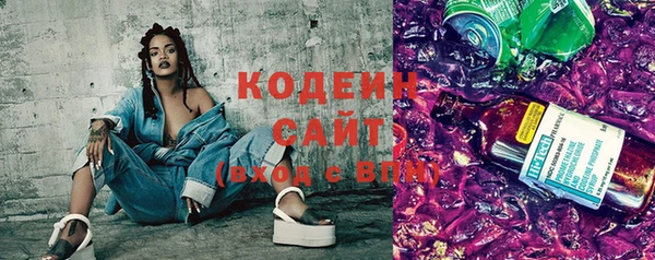 спиды Бородино