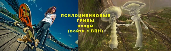 спиды Бородино