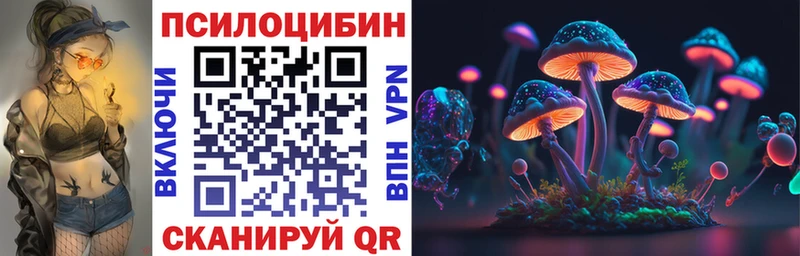 купить закладку  Весьегонск  ссылка на мегу ТОР  Галлюциногенные грибы Cubensis 